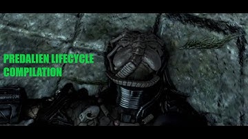 Predalien - Lifecycle Compilation