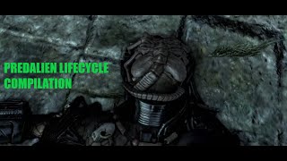 Predalien - Lifecycle Compilation