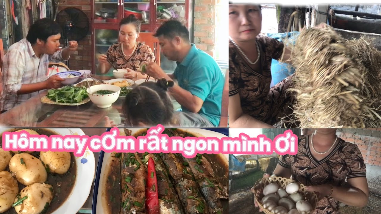 Cuối tuần ra chuồng lộm trứng mê quá và thắt ổ rơm cho vịt đẻ’và bữa ...