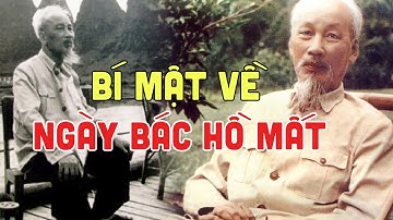 Điều Kỳ Lạ Vào Ngày Bác Hồ Mất - G.S Hoàng Chí Bảo Kể Chuyện Về Bác Hồ - AI NGHE CŨNG KHÓC