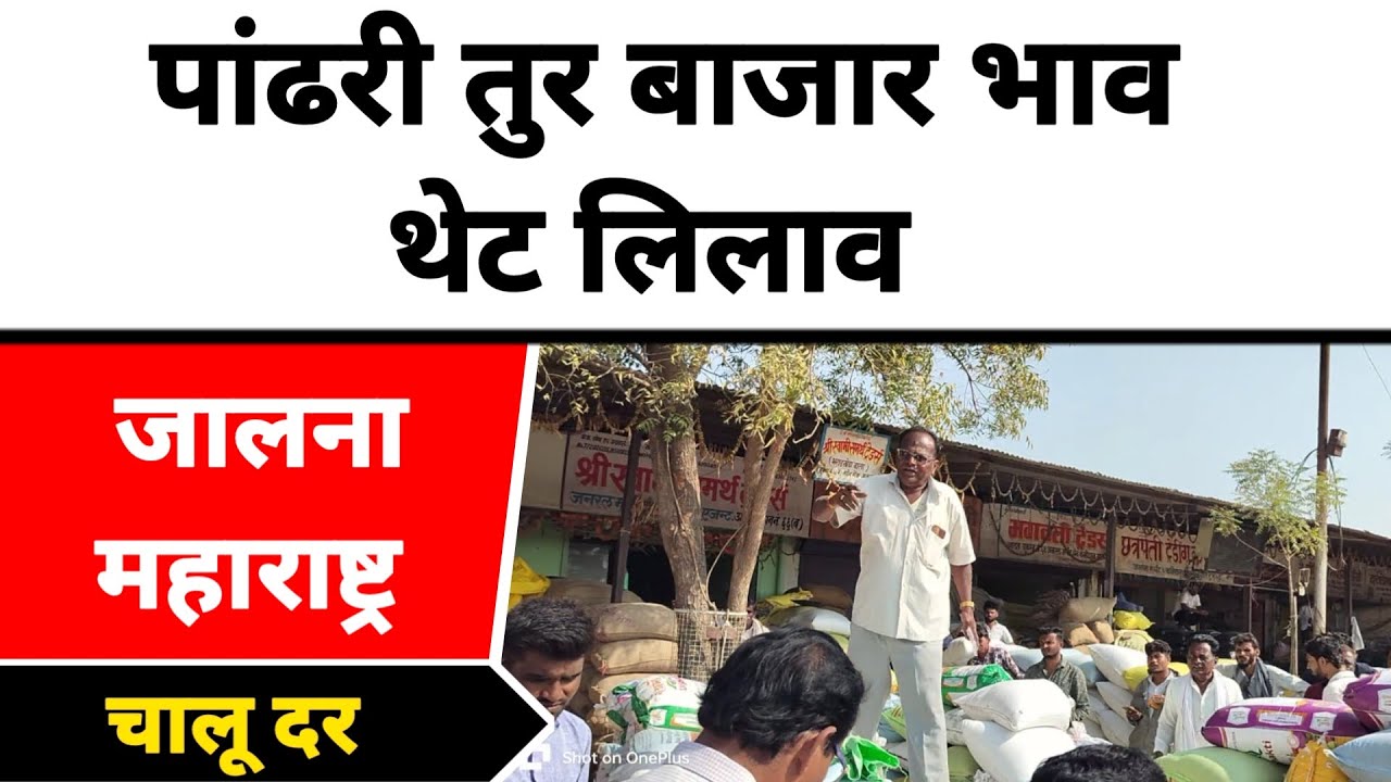 पांढरी तुर बाजार भाव थेट लिलाव चालू दर जालना महाराष्ट्र || पांढऱ्या तुरीला काय मिळतो भाव