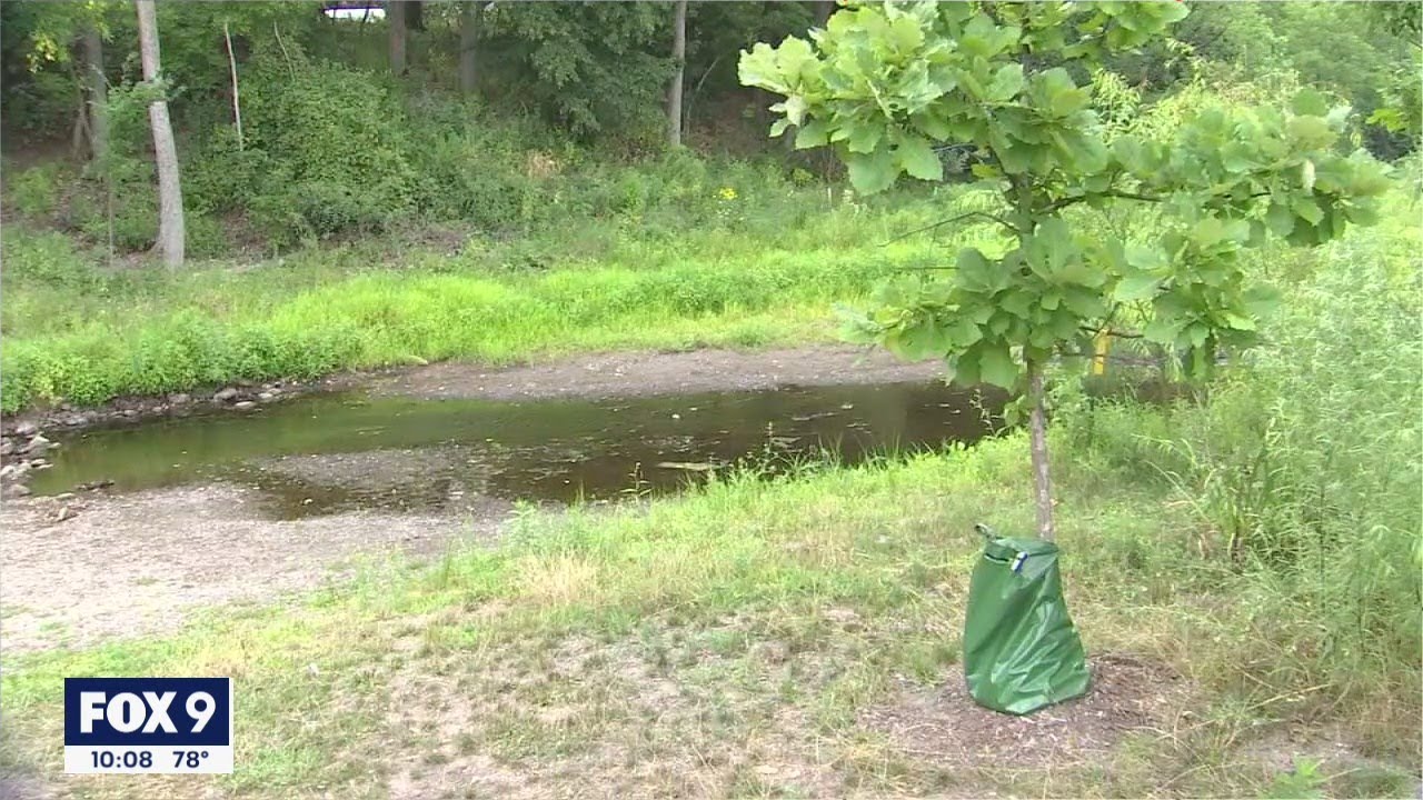 Drought causes lakes and rivers in Minnesota to drop to low levels ...