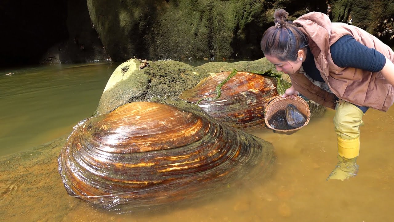 I found two golden clams. Open it, it's filled with pearl wealth