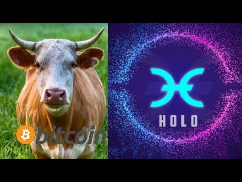 holochain-bullrun-potential-for-year-2020-hot-bitcoin-cryptocurrency-future