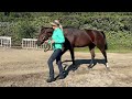 Rothschild Walking Video