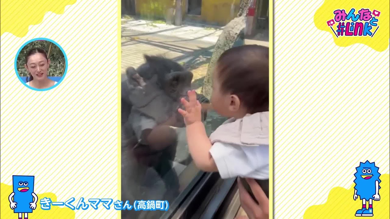 世界中の子と友達になれる = Becoming Friends with Al… Connecting with everyone - first friends - YouTube