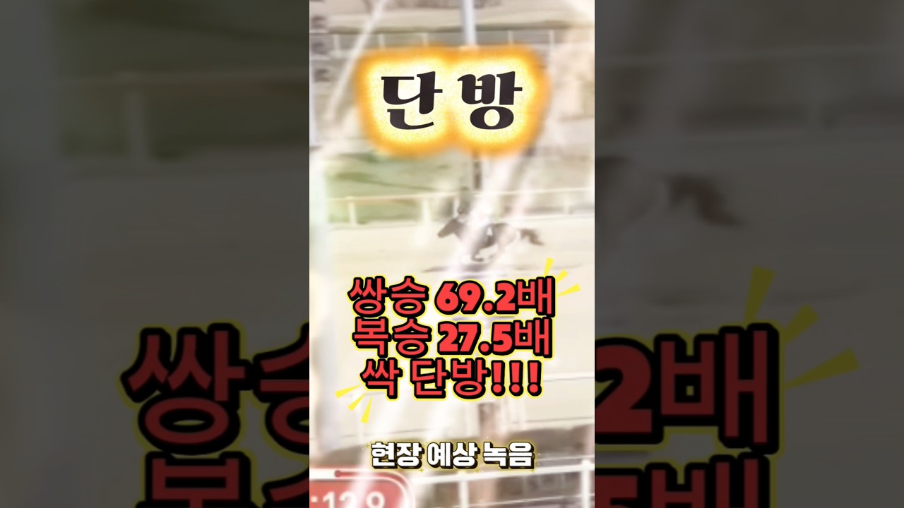 별대박경마 | 완짱 | 제주2경주 | 토요 최고배당 | 경마예상 | 단방 | 제주경마
