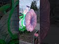 Denver Zoo Lights #zoolights #denverzoo #fairyliberationfront 4-27-25 7:50 pm