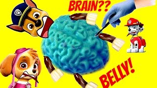 Brain Belly Paw Patrol Chase Operation Cutting Open- Surgery To Find Tons Of Toys Inside