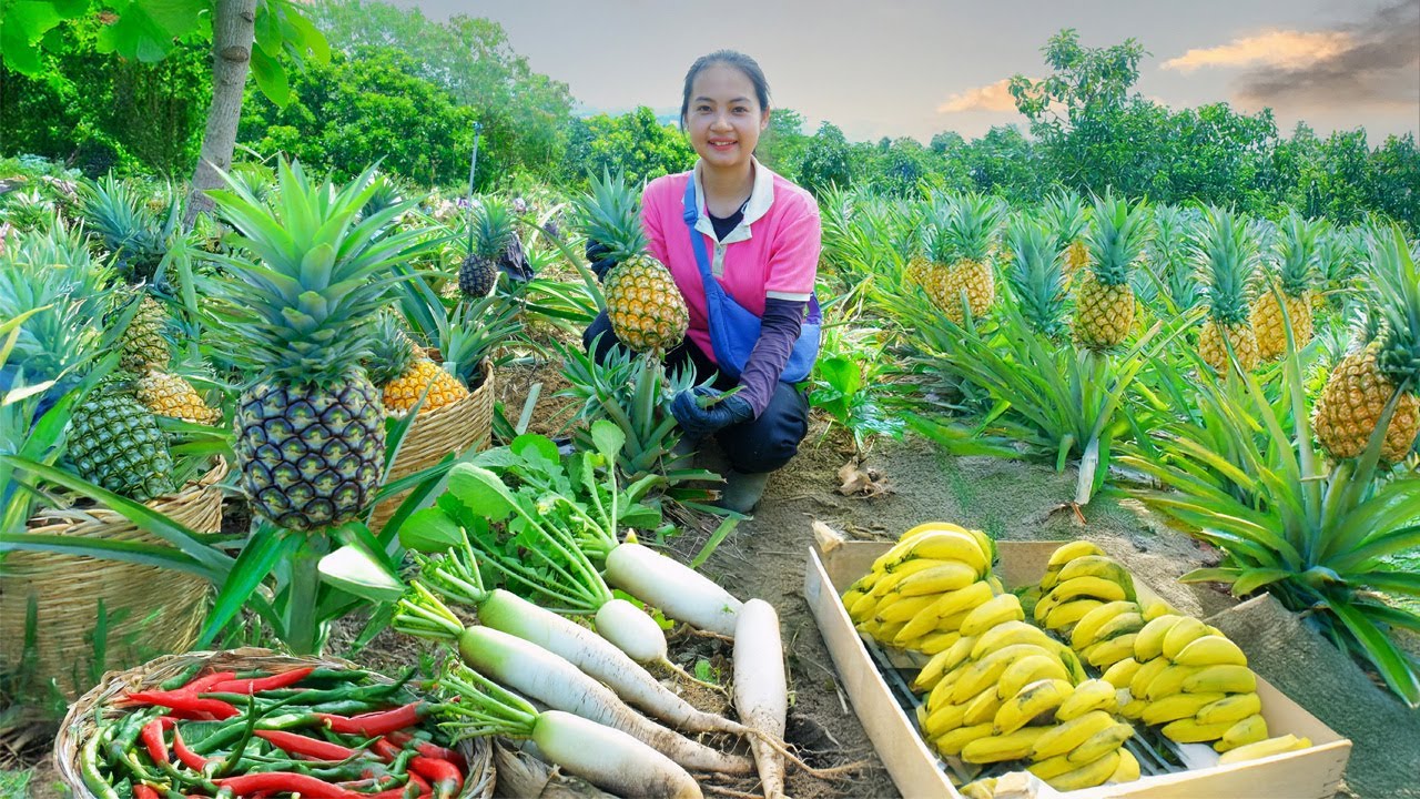 Harvest: Pineapple, Coffee, Perilla, Radish, Banana, Chili Go To The Market To Sell, Cook With Them