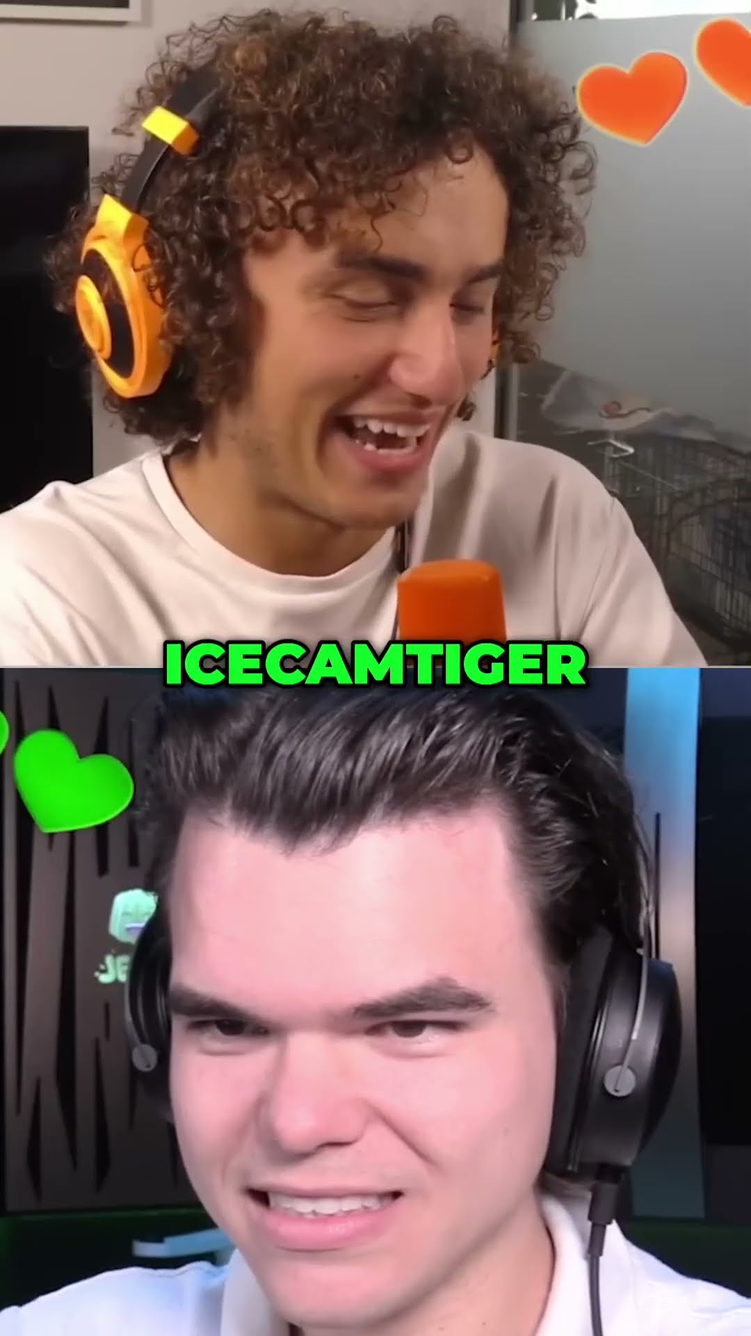 Jelly PREDICTED How MUCH This Video Made?