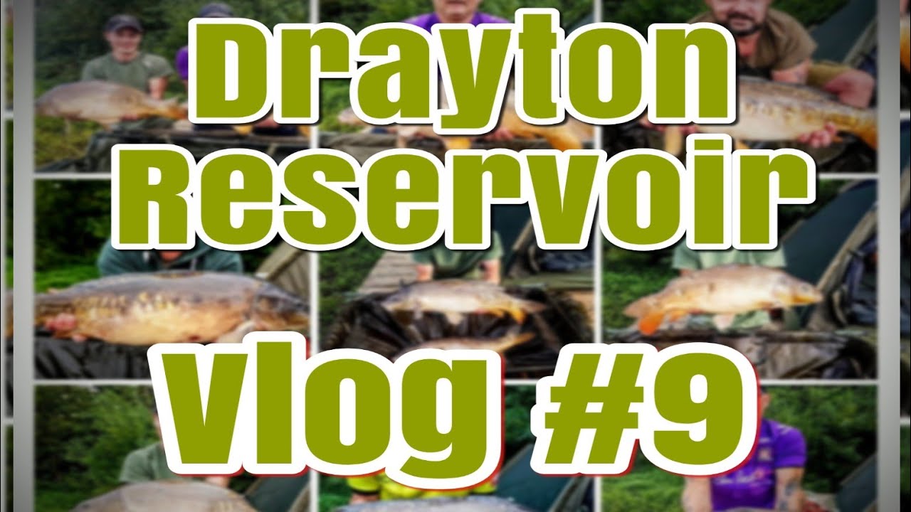 INSANE AMOUNT OF CARP AT DRAYTON RESERVOIR CARP FISHING YouTube