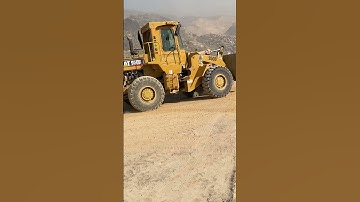 Loaders unload #shorts