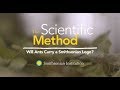 view The Scientific Method: Will Ants Carry a Smithsonian Logo? digital asset number 1