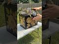 DIY Cement Succulent Planter: From Cement to Gorgeous Garden Art! 🌿  Step-by-Step Tutorial