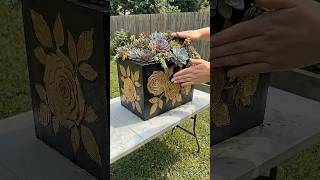 DIY Cement Succulent Planter: From Cement to Gorgeous Garden Art! 🌿  Step-by-Step Tutorial