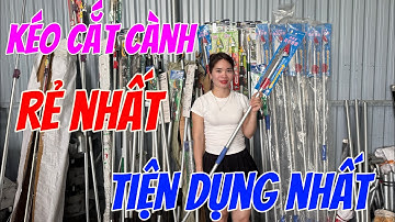 Kéo cắt cành trên cao , cắt vải , nhãn , xoài … hoa quả tiện lợi giá rẻ nhất thị trường !