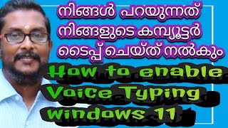 how to enable voice typing in windows 11 screenshot 4