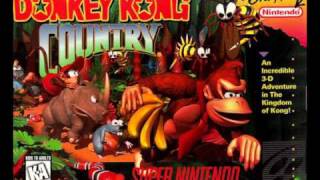 SNES: Donkey Kong Country: Fear Factory: Sega Cover/Remix