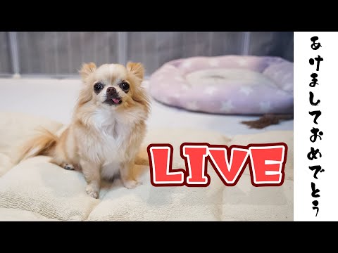 【Live】 あけましておめでとうございます🎍【ブリーダー】
