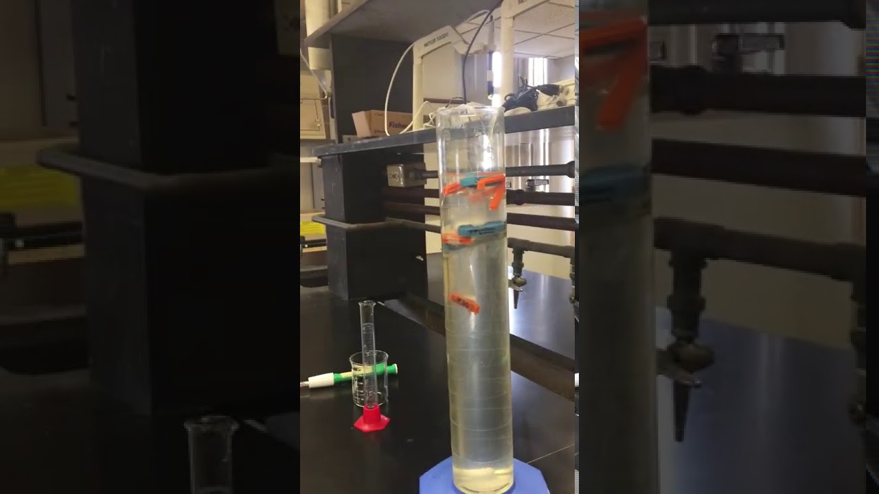 biochem lab 1 YouTube