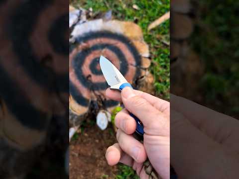 Stump Stickin' FUN!