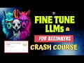 Llm fine tuning crash course 1 hour endtoend guide