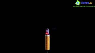 Android Cigarette Smoke (Free) screenshot 4