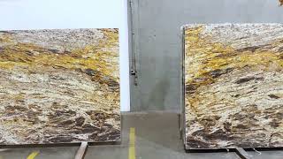 Golden Thunder - Polished - BLK 11655 - Bundle 16247