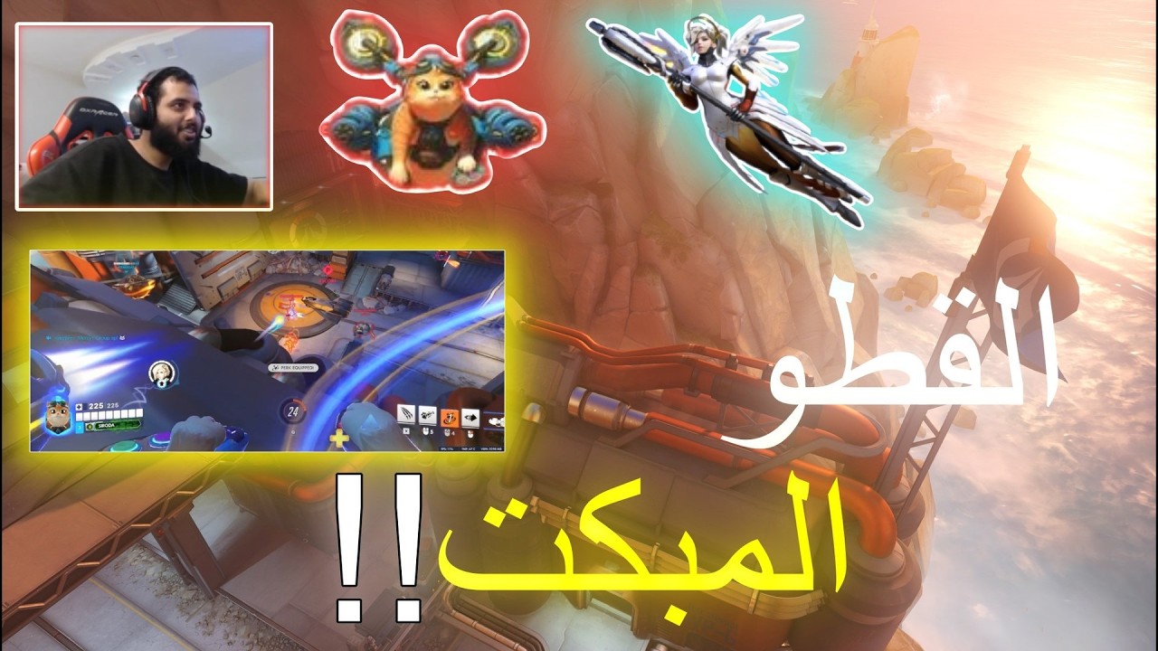 القطو المبكت!!