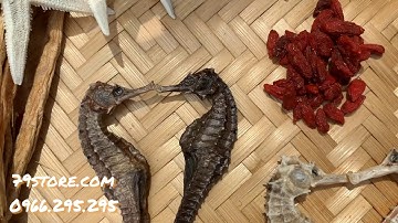 Combo Siêu Rẻ 2 lít 8 vị Ngâm Rượu Cá Ngựa