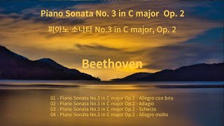 Beethoven - Piano Sonata No.3 Op.2