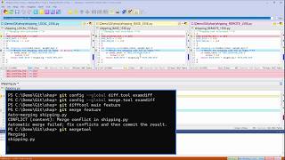 How to Use ExamDiff Pro as Your Git Diff and Merge Tool | Windows