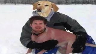 Exceptional Memes Compilation