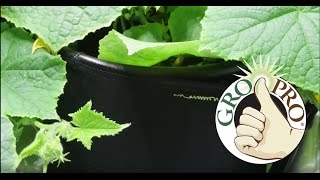 Gro Pro® Fabric Growing Pots