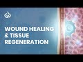 Wound Healing Frequency Heal Cuts Injuries Scar On Skin Tissue mp3