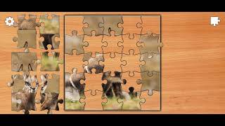 Jigsaw puzzle epic | Tatra chamois puzzle solution 🧩🧩🎯🎮