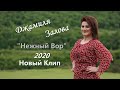 Джамиля Залова  НЕЖНЫЙ ВОР - 2020 (новый клип)