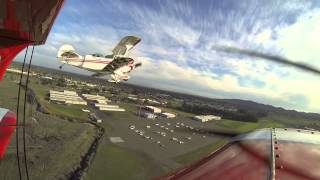 pitts loops