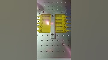 Fiber laser machine Barcode marking on plastic products like animal tags   #laserprinter
