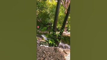 مقطع من سورة طه برواية خلف عن حمزة