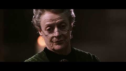 The Transfiguration Class - Harry Potter and the Chamber of Secrets