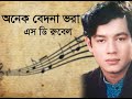 Onek Bedona Vora | অনেক বেদনা ভরা | S D Rubel |SDRF Mp3 Song