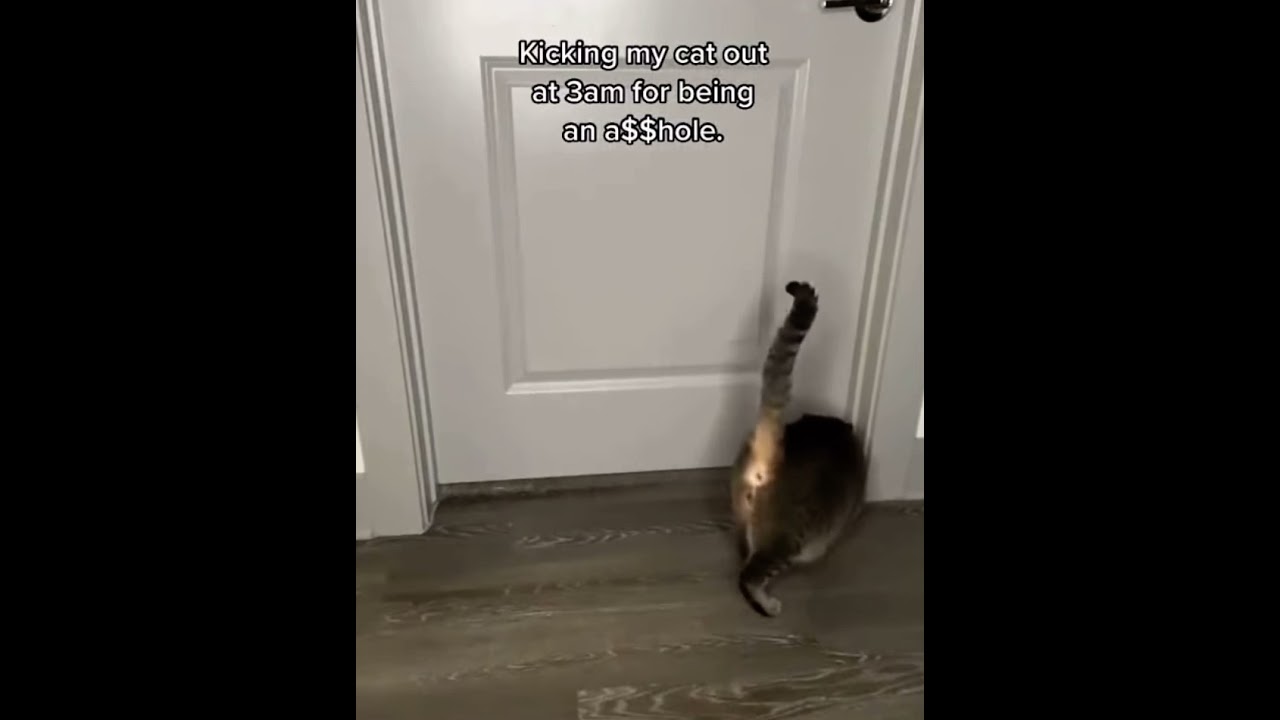 Open The Door Dr Phill Meme Youtube Open The Door Dr Phill Meme Youtube