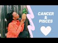 Cancer and Pisces Love Compatibility| Look No Further