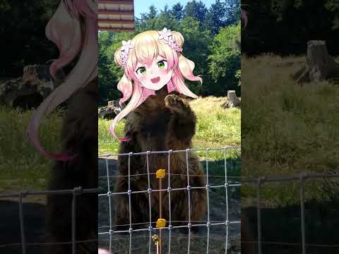 Hi Nene