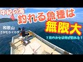 カセ釣り編：和歌山さかむらイカダ! 7月の中紀の海は何が釣れる？ この海は釣り人を飽きさせない魅力がある！