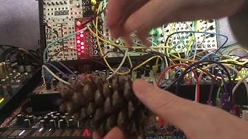 pinecone jam - pinecone, contact mic, eurorack modular, cocoquantus