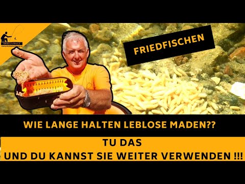 Video: 4 Möglichkeiten, Bettwanzen organisch loszuwerden