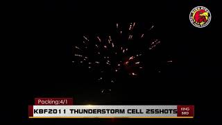53 KBF2011 wmv